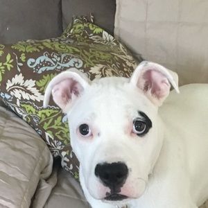 Meet your Posher, Cristina